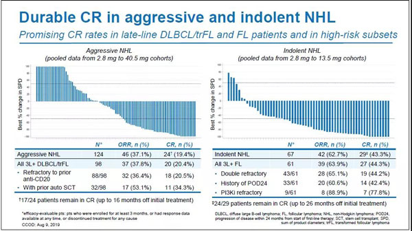 Roche's CD20xCD3 dual anti-mosunetuzumab obtained FDA breakthrough therapy designation