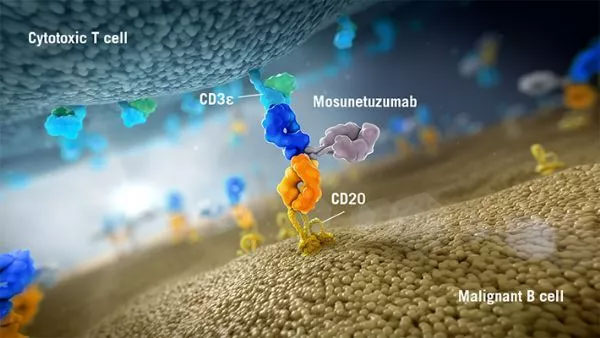 Roche's CD20xCD3 dual anti-mosunetuzumab obtained FDA breakthrough therapy designation