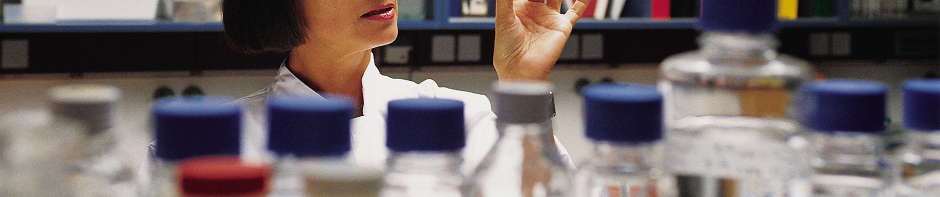 ������(8883��AMG)�ٷ���վ