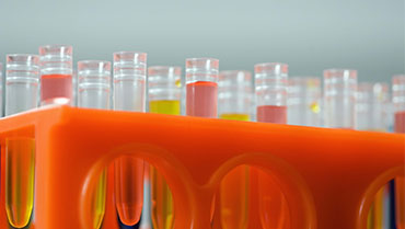 ������(8883��AMG)�ٷ���վ