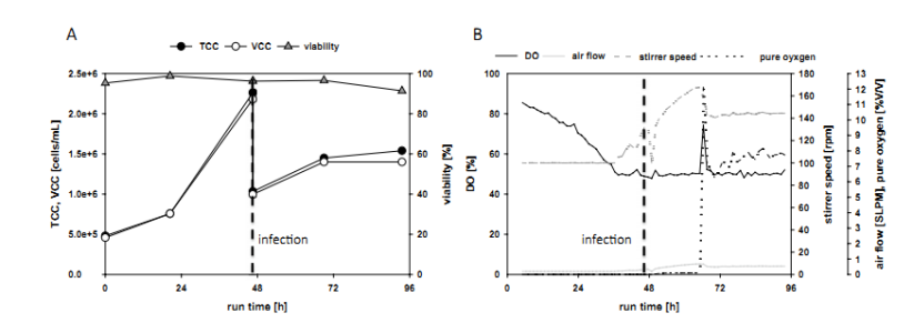 ϸ�������������ʵ�������������������߿�������