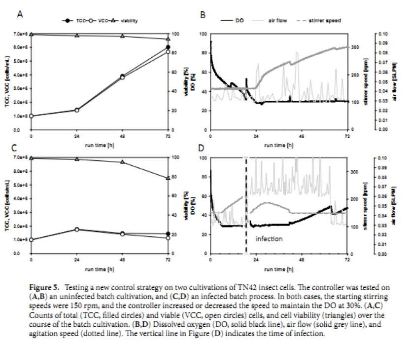 ϸ�������������ʵ�������������������߿�������
