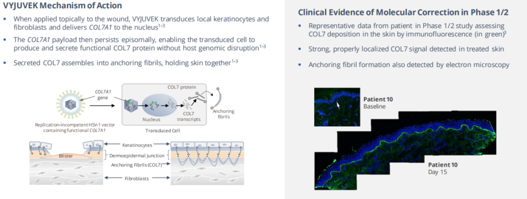 ���ȡ����������ȫ���׿�����Ʒ�����һ�ԡ�ҽҩ��ٳ��