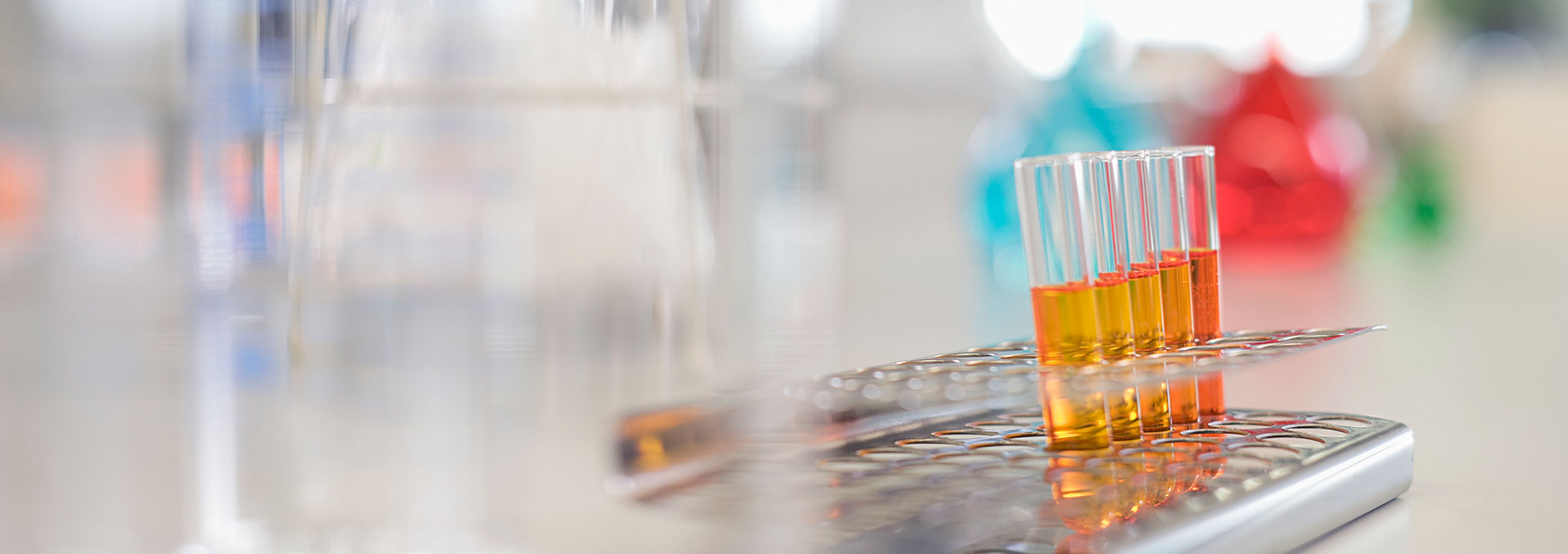 ������(8883��AMG)�ٷ���վ