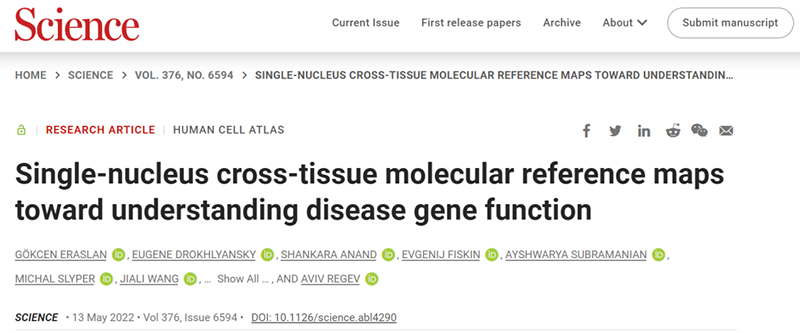 ��Science�ذ�����������Ϊֹ����������������ȫ�Ŀ���֯ϸ��ͼ�׻��