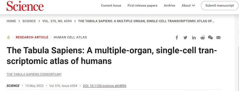 ��Science�ذ�����������Ϊֹ����������������ȫ�Ŀ���֯ϸ��ͼ�׻��