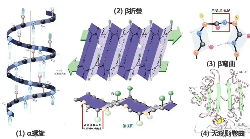 �Ѱ�ҩ�����������Ҫ��